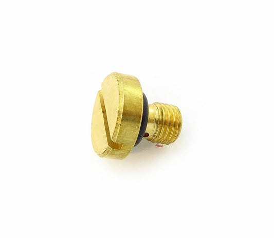 Briggs & Stratton Drain carb bolt